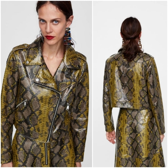 zara snakeskin biker jacket